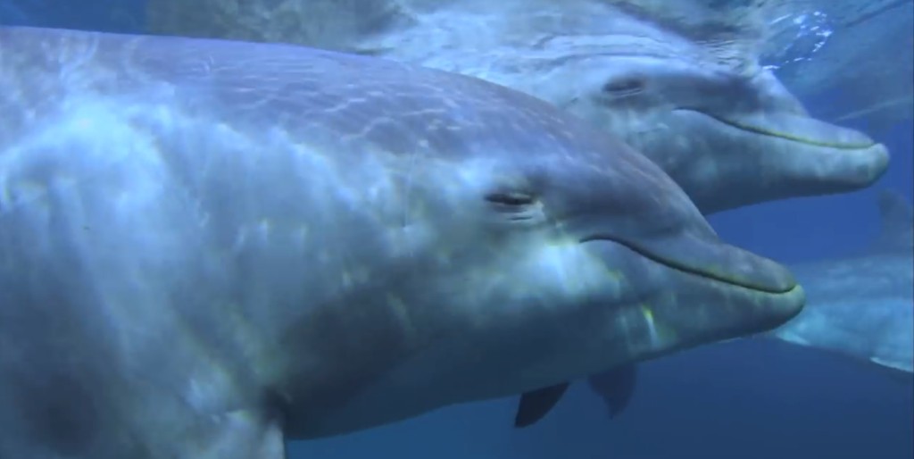 スクリーンショット 2015-01-28 22.54.55 - バージョン 3