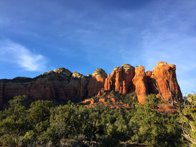 IMG_2895 - バージョン 2