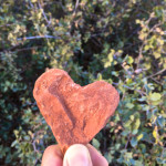 IMG_2713 - バージョン 2