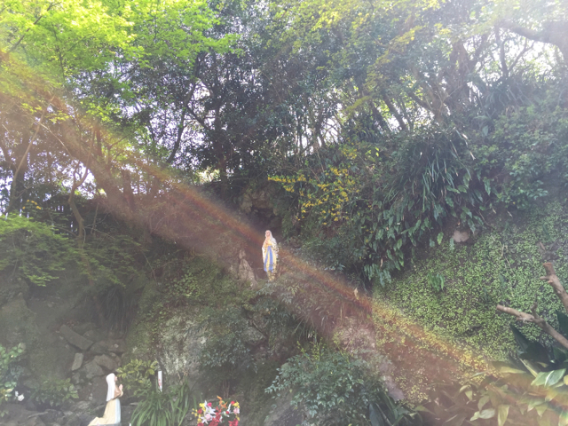 IMG_3056 - バージョン 2