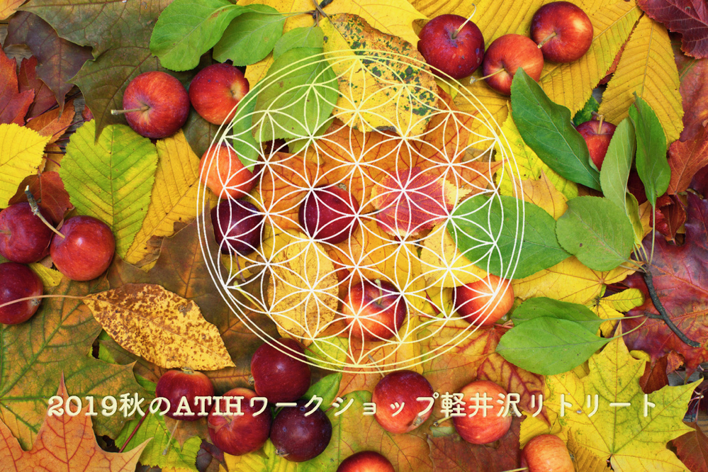 Beautiful colorful background with fallen leaves and red-ripe apples on the ground. Bright autumn colors. Image of natural materials. Eco style.