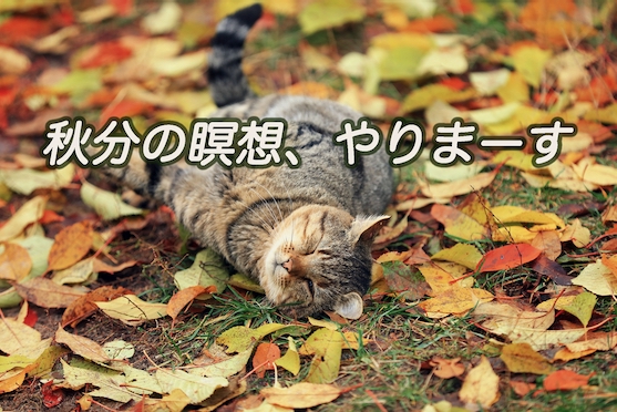 autumn equinox 2025 meditation