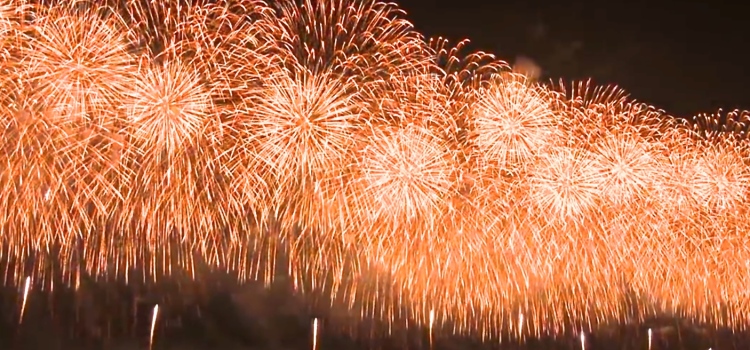 ２０１５年がやってきました☆